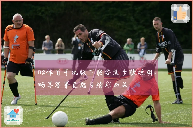 ng体育手机版下载安装步骤说明，畅享赛事直播与精彩回放