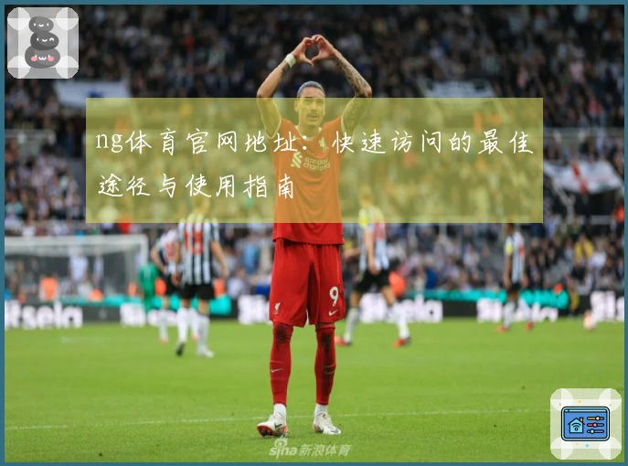 ng体育官网地址：快速访问的最佳途径与使用指南