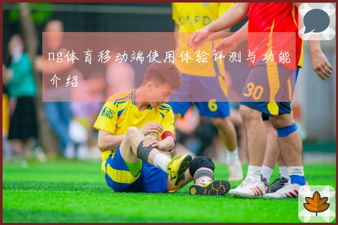 ng体育移动端使用体验评测与功能介绍