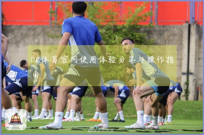 ng体育官网使用体验分享与操作指南