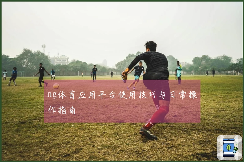 ng体育应用平台使用技巧与日常操作指南