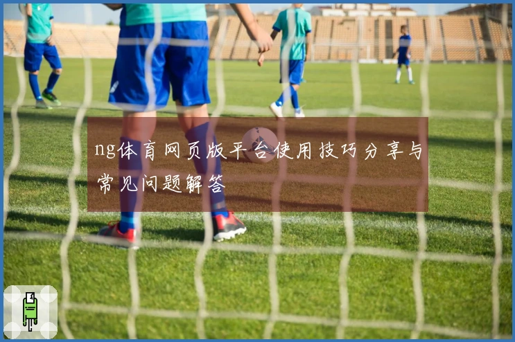 ng体育网页版平台使用技巧分享与常见问题解答